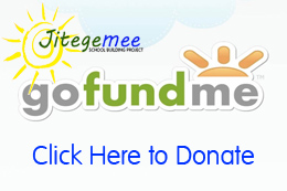Donate through Gofundme